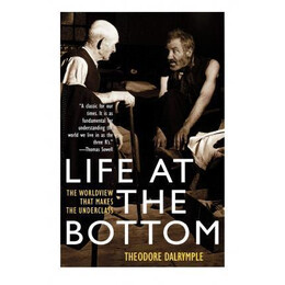 Life at the Bottom : the Worldview That Makes the Underclass