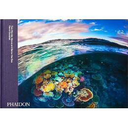 Two Worlds: Above and Below the sea