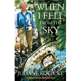 When i Fell From the sky