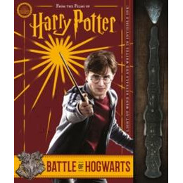 Battle of Hogwarts and the Magic Used to Defend it (Harry Potter)