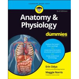 Anatomy & Physiology for Dummies