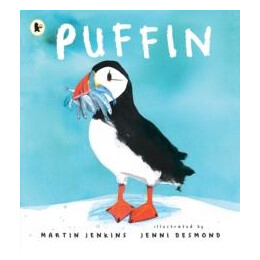 Puffin