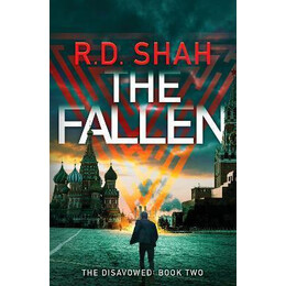 The Fallen : an Unputdownable Conspiracy Thriller
