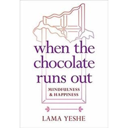 When the Chocolate Runs out : Mindfulness and Happiness