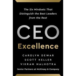 Ceo Excellence