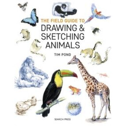 Field Guide to Drawing & Sketching Animals