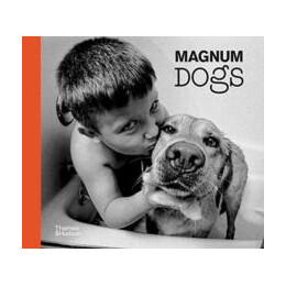 Magnum Dogs
