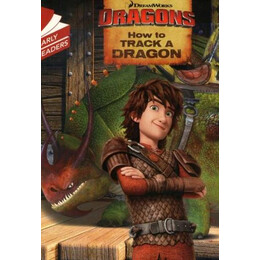 How to Train Your Dragon - how to Track a Dragon