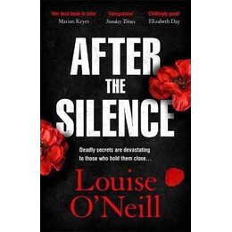 After the Silence : the an Post Irish Crime Novel of the Year