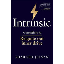 Intrinsic : a Manifesto to Reignite our Inner Drive