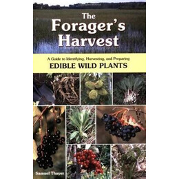 The Forager's Harvest : a Guide to Identifying, Harvesting, and Preparing Edible Wild Plants