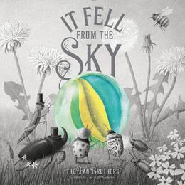 It Fell From the sky