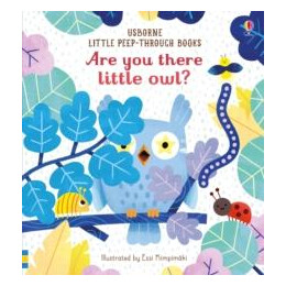 Are you There Little Owl?