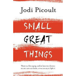 Small Great Things : the Bestselling Novel you Won't Want to Miss