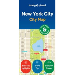 Lonely Planet new York City map