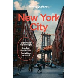 Lonely Planet new York City