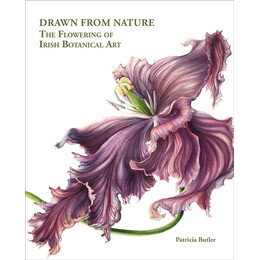 Drawn From Nature : the Flowering of Irish Botanical art