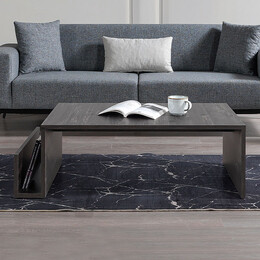 Τραπεζάκι Σαλονιού Regnar Megapap Χρώμα Rebab 100,6x55x31,8εκ.