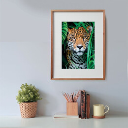 Clementoni Παζλ High Quality Collection Τίγρης Στη Ζούγκλα 500 τμχ - Compact Box