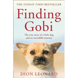 Finding Gobi (Main Edition)