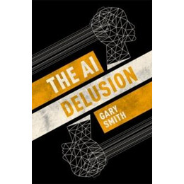 Ai Delusion