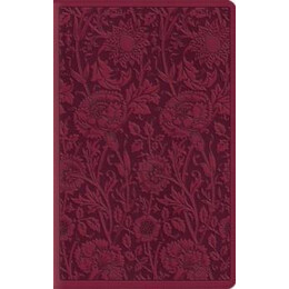 Esv Large Print Compact Bible