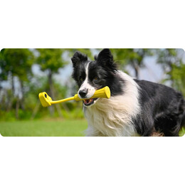 Insta360 GO 3 Fetch Stick