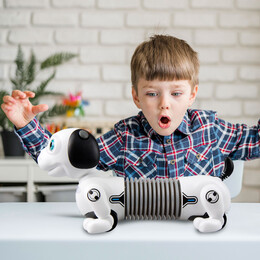 As Silverlit: Ycoo n Friends - Robo Dackel jr. (7530-88578)