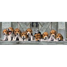 Clementoni Παζλ Panorama High Quality Collection Σκυλάκια Beagles 1000 τμχ - Compact Box
