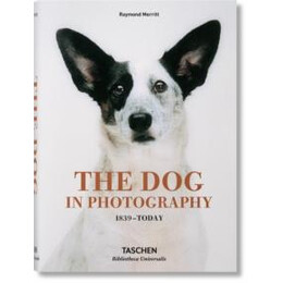 Dog in Photography 1839–today