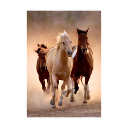 Clementoni Παζλ High Quality Collection Άλογα 1000 τμχ - Compact Box