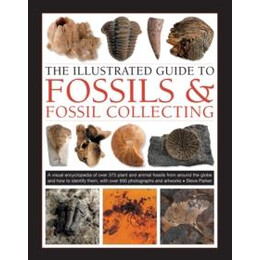 Fossils & Fossil Collecting, the Illustrated Guide to