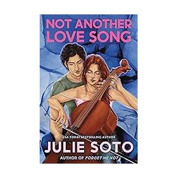 Not Another Love Song