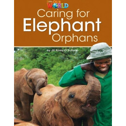 Our World 3: Caring for Elephant Orphans - ame