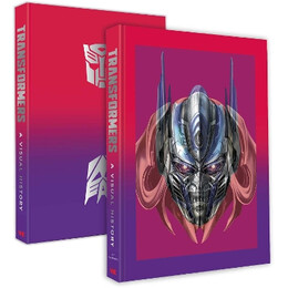 Transformers Visual Hist (Liha