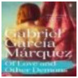 Of Love and Other Demons pb b Format