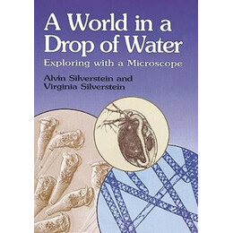 Silversteins World in a Drop  pb