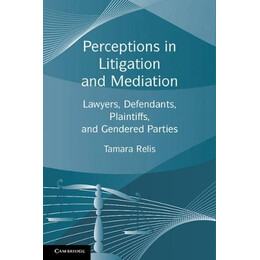 Perceptions in Litigation and Mediation