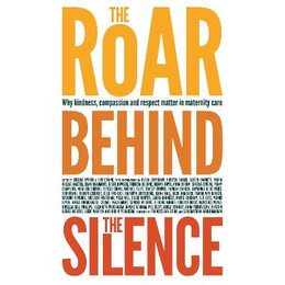 The Roar Behind the Silence  pb big Format