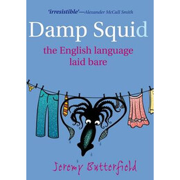 Damp Squid the English Language Laid Bare pb b Format