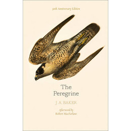 The Peregrine hc