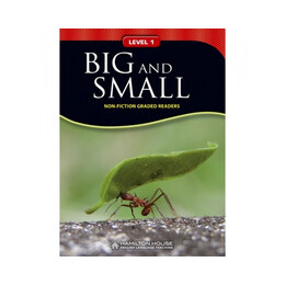 Nfgr 1: big and Small
