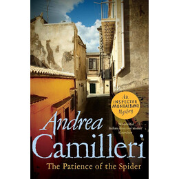 The Patience of the Spider