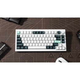 Keychron Q1 HE (Q1H-P1) QMK White Wireless Custom Hall Effect Keyboard Purple Switch US Layout