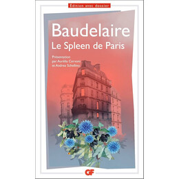 Le Spleen de Paris