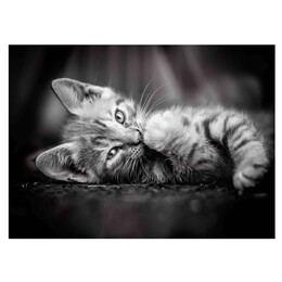 Clementoni Παζλ High Quality Collection Γατούλα 1000 τμχ