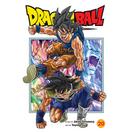 Dragon Ball Super, Vol. 20 pa