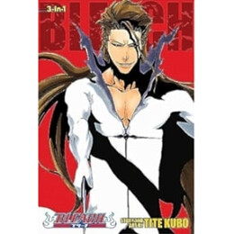 Bleach: 3-in-1 ed v16 pa