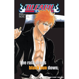 Bleach Souls pa