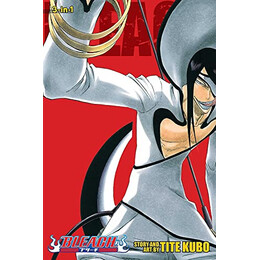Bleach: 3-in-1 ed v11 pa